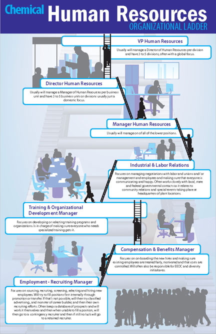 Human Resources Ladder